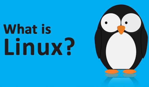 What is Linux